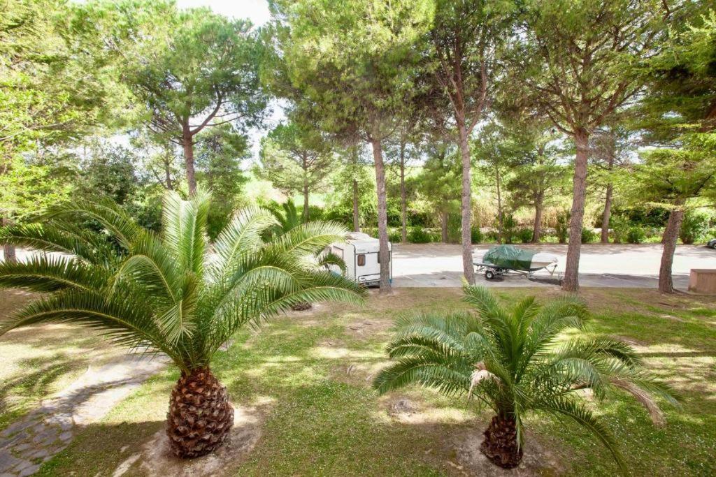 M257 - Marcelli, Bilocale In Residence Con Piscina Exterior photo